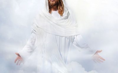 MENSAJE DEL MAESTRO JESÚS: TRASCENDIENDO EL DOLOR, RENACIENDO A LA LUZ